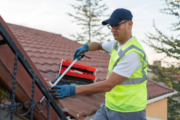 Best Basement Insulation  in Butler, WI